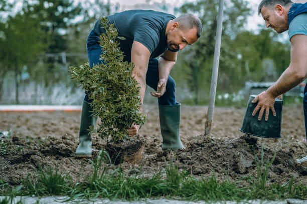 Best Stump Grinding Near Me  in Johns Creek, GA